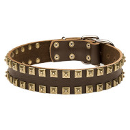 Brown New Leather Dog Collar with Square Studs